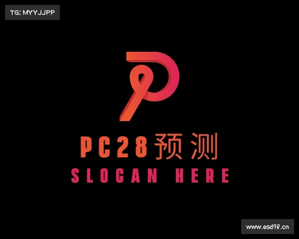 解读pc28预测